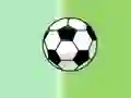 The Goalkeeper