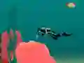 Aquacreep