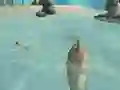 Shark Simulator Beach Killer