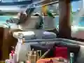 Caribbean Crime