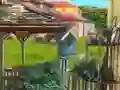 Backyard Makeover
