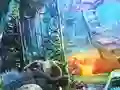The Four Lands