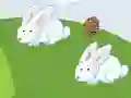 Crazy Eggs