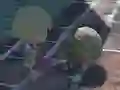 Zombie Run