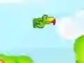 Tucan Bird