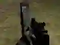 Hostages Rescue