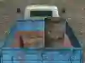 Cargo Drive