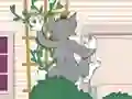 Tom und Jerry: Wasserbomben Wahnsinn