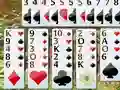 Flower Garden Solitaire