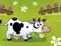 Help Me To Find The Animals