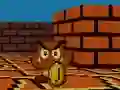Mario FPS