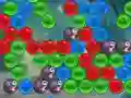 Bubble Dragons