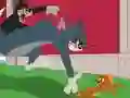 Tom and Jerry: Chasing Jerry