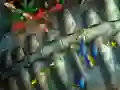 Fishing King