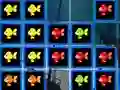 1010 Fish Blocks