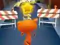 Cat Run
