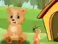 Bear Home