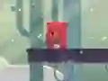 Bear Chase