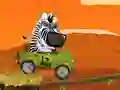 Safari Time