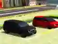 Sports Car Parker Driver