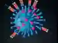 Kill The Coronavirus