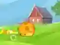 Mango Piggy Piggy Farm