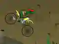 Ninja Turtle Bike
