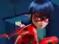 Ladybug Jigsaw