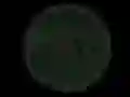 Stickshot 2