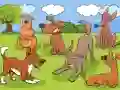 Animals Differences