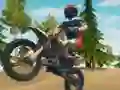Dirt Bike Enduro Racing