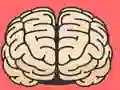 Brain Test