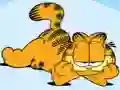 Garfield Jigsaw Puzzle Collection