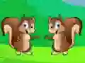 Grassy Land Escape