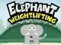 Elephant Weight Lifting