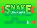 Snake Challenge