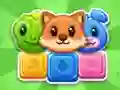 Pets Match
