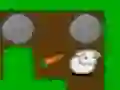 24 Carrots