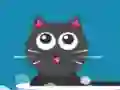 Milk For Cat