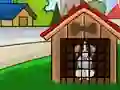 Beagle Dog Escape