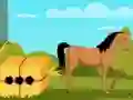 Farm Boy Escape2