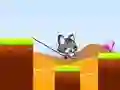 Swing Cute Cat