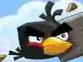 Crazy Birds