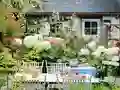 Flower Garden