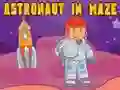 Astronaut in Maze