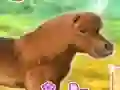 My Dear Pony