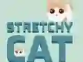 Stretchy Cat