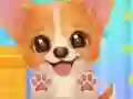 Adopt Your Pet Puppy