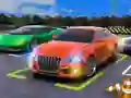 Driving Test Simulator
