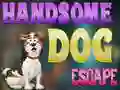 Handsome Dog Escape